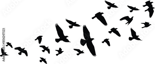 Black flying birds silhouette flock, birds in flight formation, wildlife nature background, freedom concept, minimal animal illustration design