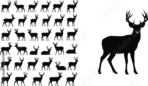 Deer silhouette puzzle, animal matching game, wildlife illustration, antler design, visual challenge, forest animal art, vector deer, perception test, nature design, hunting concept