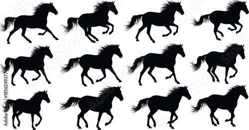 Horse silhouette running sequence, galloping horse motion, equine biomechanics illustration, animal locomotion study, black horse outline, dynamic horse poses, vector art
