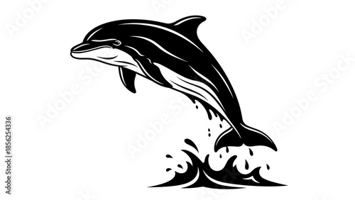 Black and White Dolphin Illustration Jumping.
