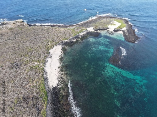 Punta Suarez