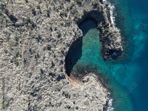 Champion Island