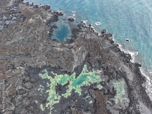 Cape Marshall, Isabela Island