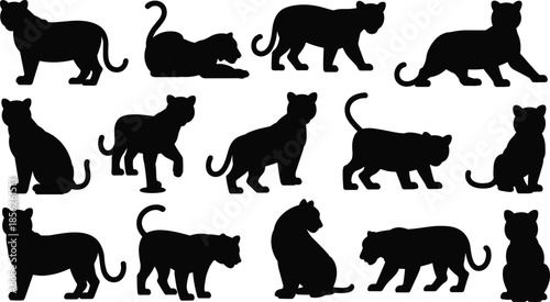 Black tiger silhouettes in various poses — walking, sitting, crouching, and stretching big cat vector for wildlife and design use.