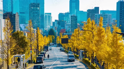 A timelapse of traffic jam at the yellow gingko street in the city in autumn panning