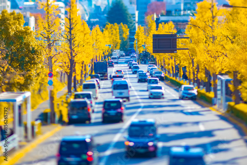 A photography of miniature traffic jam at the yellow gingko street in autumn