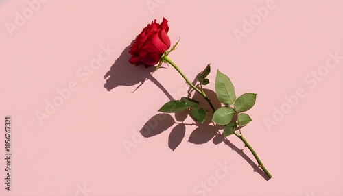 Single red rose with green leaves casting a shadow on a light pink background.