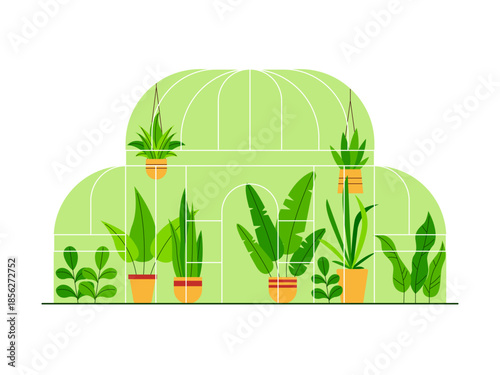 An indoor greenhouse or a botanical orangery. Urban farming vector illustration. Flat illustration concept.