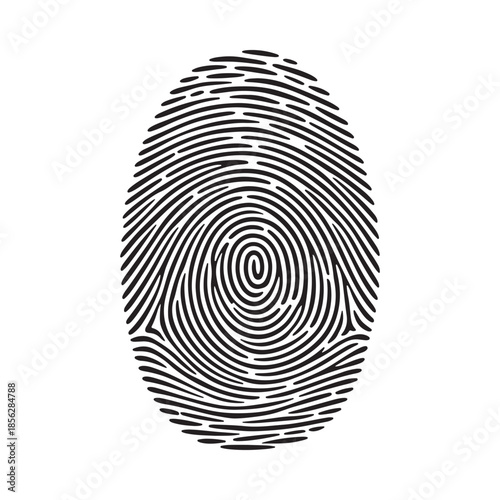 A detailed illustration of a human fingerprint showcasing the unique swirling patterns and ridges present