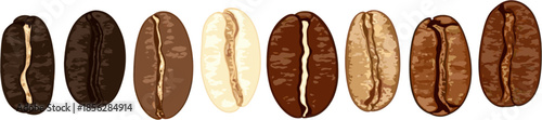set of coffee beans in different shades on a white background, vector graphic illustration, vintage style