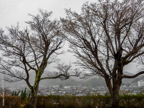 雨の中、兵庫県豊岡市の出石町、出石城址を歩く