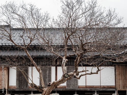 雨の中、兵庫県豊岡市出石町を散策