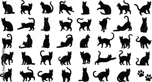 Large set of black cat silhouettes, feline pets in various poses like sitting, jumping, stretching, walking, and animal paw prints, vector.