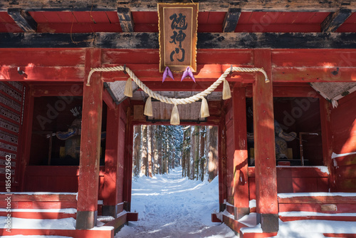 Obraz na płótnie 戸隠神社奥社 参道 随神門