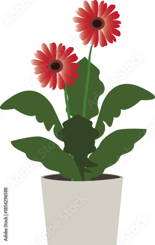 Illustration of a colorful gerbera daisy flower, commonly used in floral design and decoration.