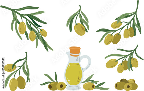 An illustration of a glass bottle of olive oil surrounded by olive branches and olives on
