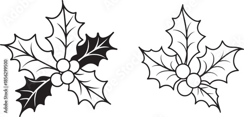 Holly Leaves Line Art Vector | Christmas Botanical Illustration