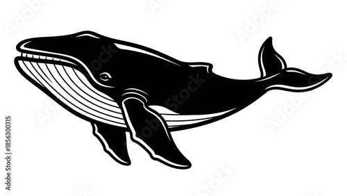 Black and White Whale Illustration.