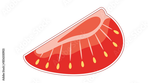 Red Watermelon Slice with Seeds Illustration.