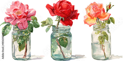 three watercolor illustrations depicting red, pink, and oreng roses in glass jars, isolated on a white background