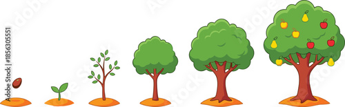 Fruit tree growth stages silhouette, seed to mature tree, black and white life cycle illustration, natural development concept