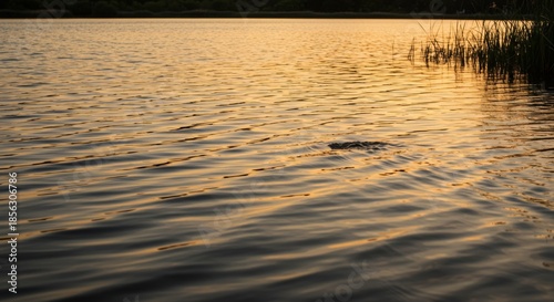 Golden Sunset Reflecting on Calm Lake Water