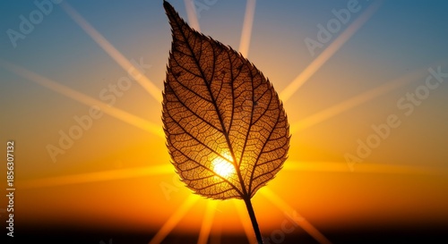 Golden Silhouette Leaf at Sunset with Sun Rays