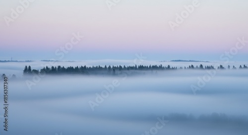 Misty Forest at Dawn Soft Light Blue Purple Sky