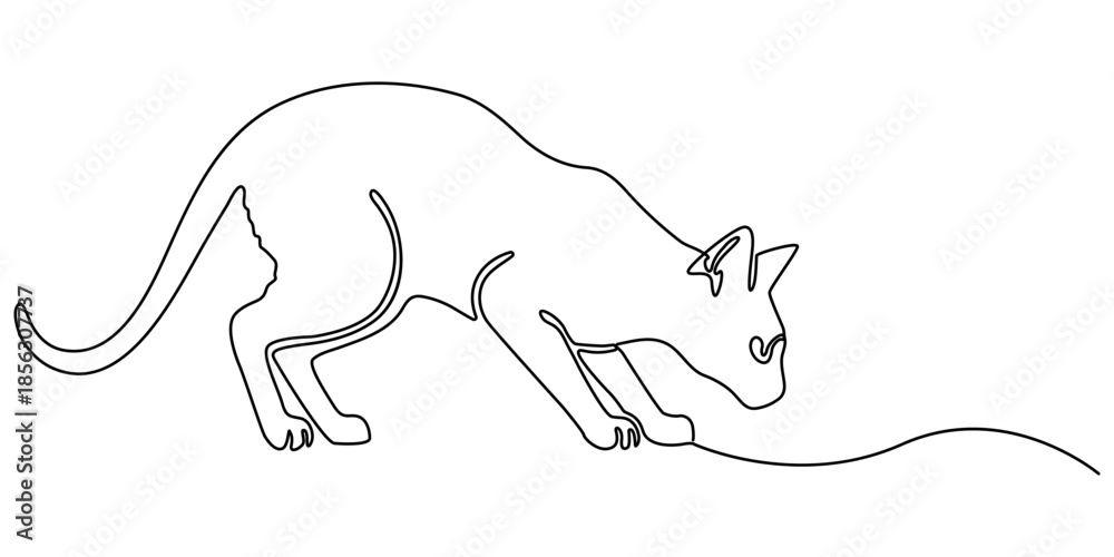Fototapeta premium Continuous one line drawing of a cute cat. Minimalist single line style cat hand drawn vector illustration