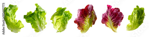 Set flying green and red lettuce leaves isolated on transparent background