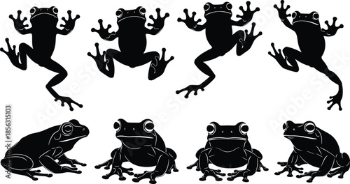 Tropical frog silhouette vector collection set, different green tree frog poses and jumping movement isolated on white background for wildlife nature design,