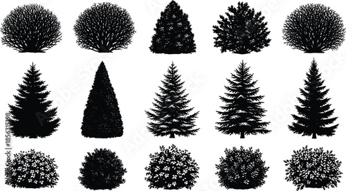 Tree and bush silhouettes vector illustration set, black and white coniferous pine trees and garden shrubs for landscaping, nature, and forestry design,
