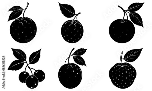 Five Different Types of Berries with Leaves on White Background blackberries raspberries
