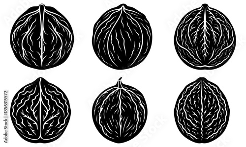 Six black and white brain with intricate neural patterns on a transparent background neurons neuroscience