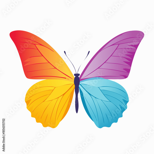 Bunter Schmetterling