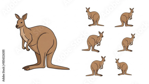 A group of brown kangaroos in various poses on white background, illustration of multiple roos standing and hopping, cute marsupial animals