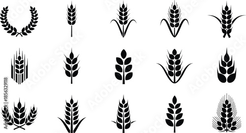 Wheat and grain silhouette icon set featuring cereal crops, agriculture symbols, harvest elements, and farming design graphics