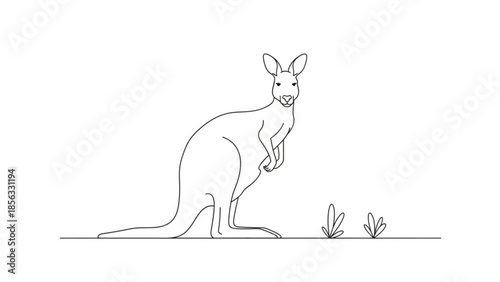 A continuous line drawing of a kangaroo standing on a plain with grass, looking forward with ears perked up and smiling