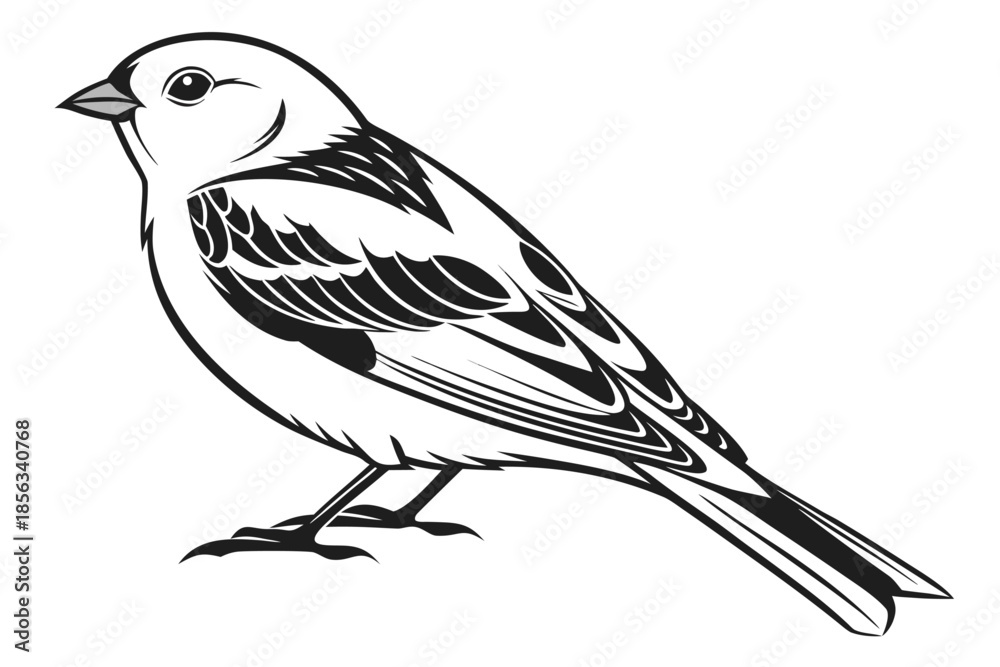 Fototapeta premium Black and White Sparrow Bird Vector Illustration