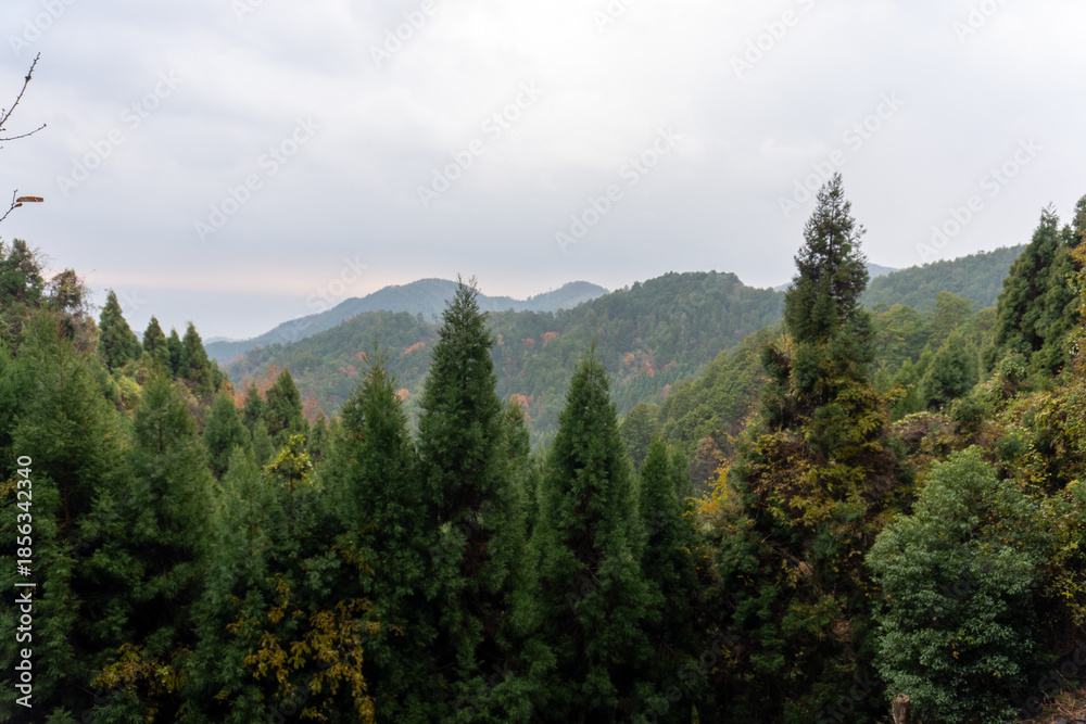 Fototapeta premium Kyoto Trail and surrounding area scenery