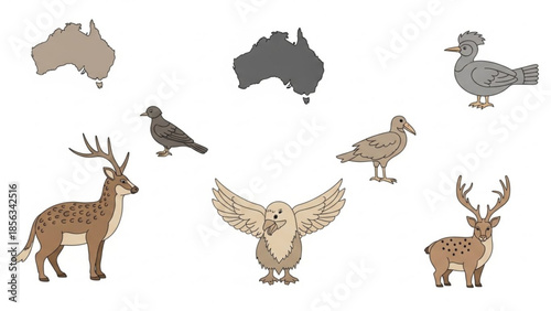 Australian wildlife illustration set with animals and map on white background