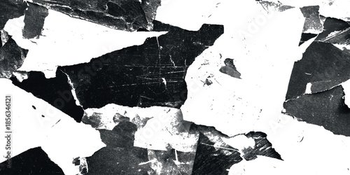 An abstract black and white image displaying fractured shapes and textures potentially resembling rock formations or ice