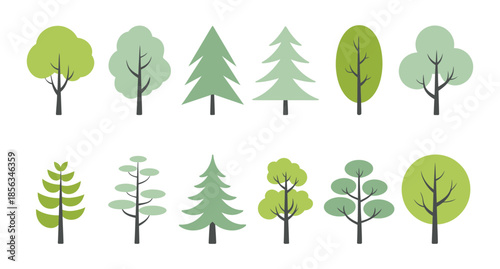 Minimalist vector illustration of a flat design green tree with lush foliage on white background