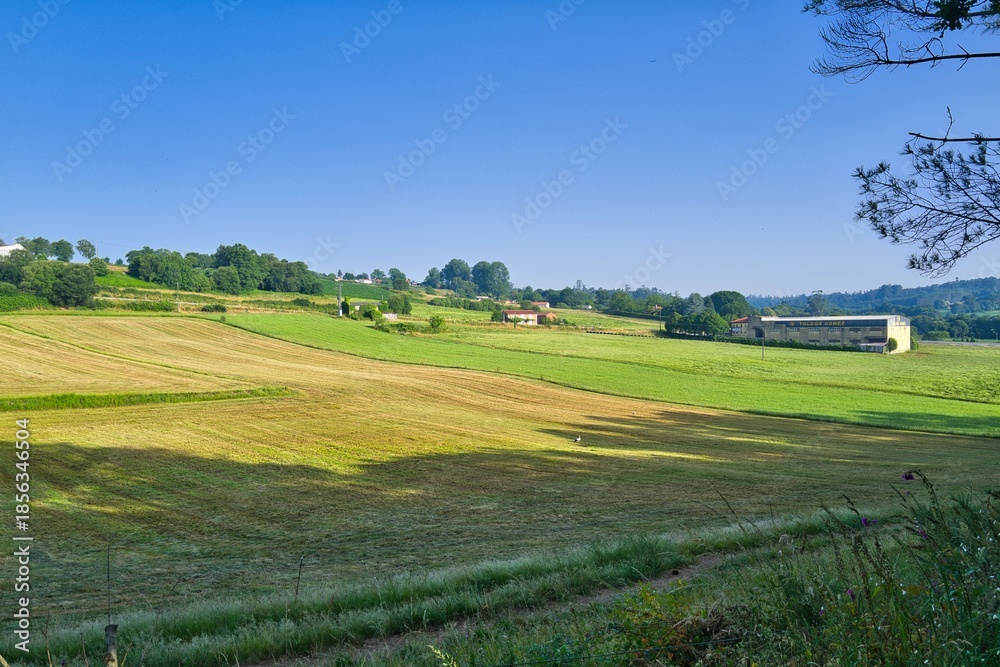 Obraz premium 경관, 들판, sky, 목초, green, 네이처, 목초지, 여름, blue, 경작, 농촌, 구름, 나무, 봄, 농장, 시골, 국가, 수평선, 고개, 대지, beautiful, 식물