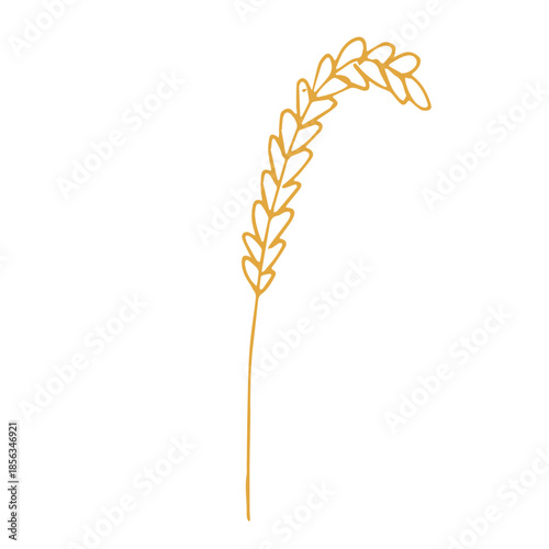 Hand drawn cereal wheat oat rye barley rice ears spikelet clipart Organic wheat bread agriculture farming harvest healthy food Single element for print packaging label design decor