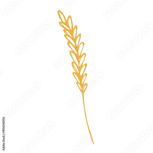 Hand drawn cereal wheat oat rye barley rice ears spikelet clipart Organic wheat bread agriculture farming harvest healthy food Single element for print packaging label design decor