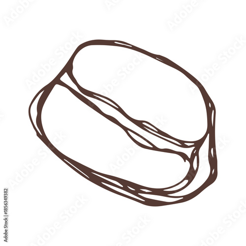 Hand drawn fresh roasted coffee bean Arabica robusta seed doodle Single element for print, web, design, decor