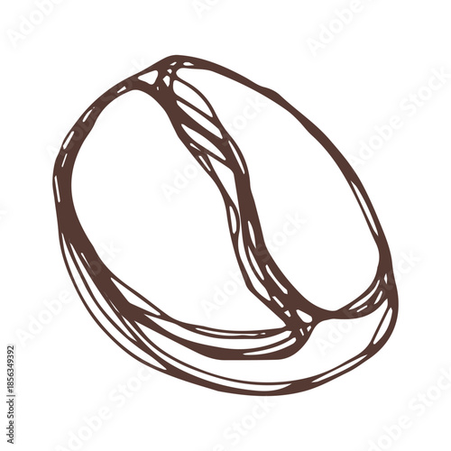 Hand drawn fresh roasted coffee bean Arabica robusta seed doodle Single element for print, web, design, decor