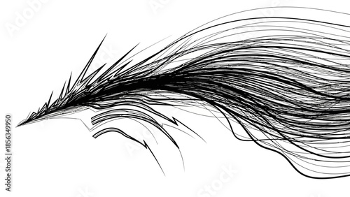 Abstract black and white fractal design resembling flowing hair or feathers on a clean background.