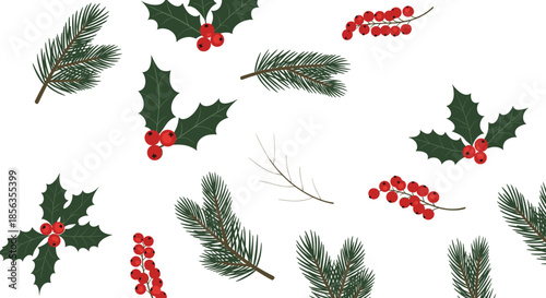 Christmas Winter Botanical Elements Vector Set with Pine Branches Holly Leaves Red Berries Flat Illustration